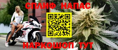 Альфа ПВП Шебекино