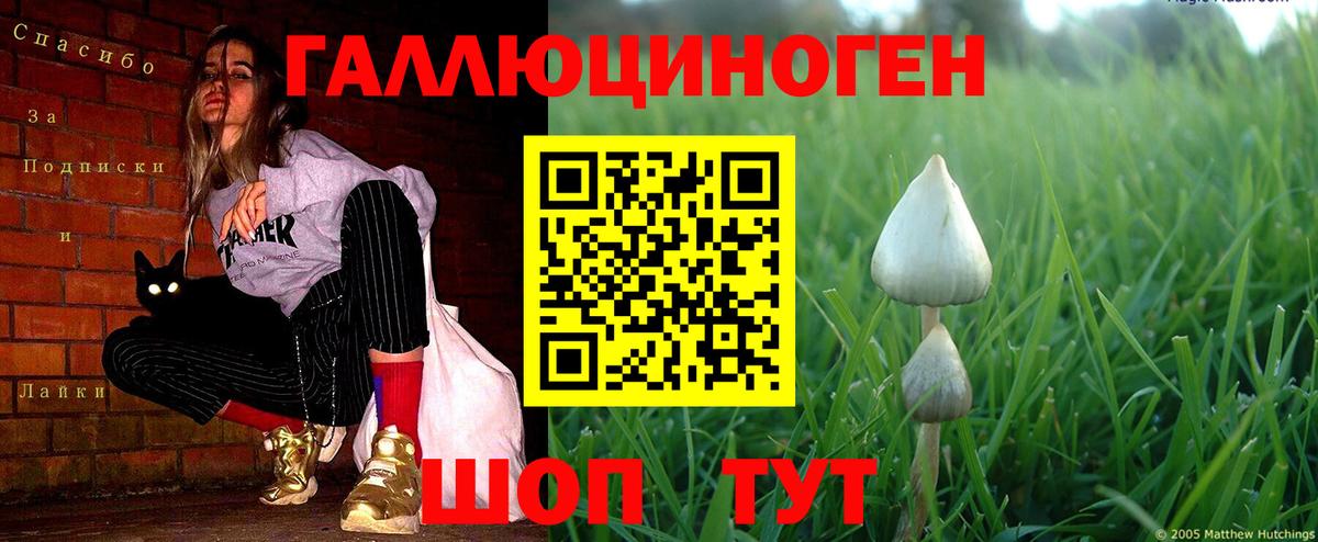Псилоцибиновые грибы GOLDEN TEACHER Еманжелинск