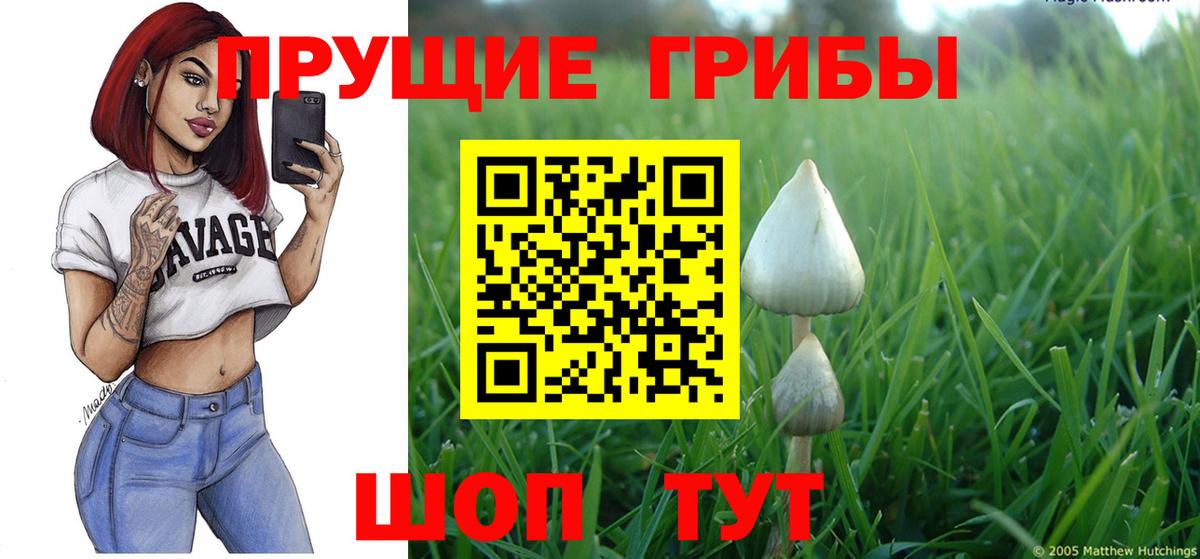 Еманжелинск  Галлюциногенные грибы ЛСД  Вход с VPN 